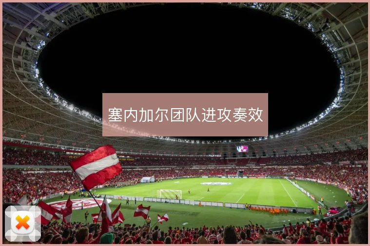塞内加尔团队进攻奏效