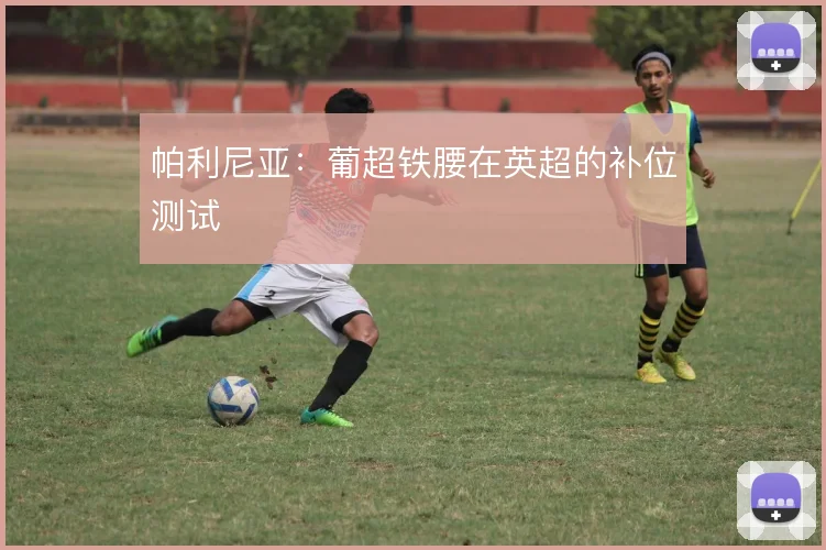 帕利尼亚：葡超铁腰在英超的补位测试